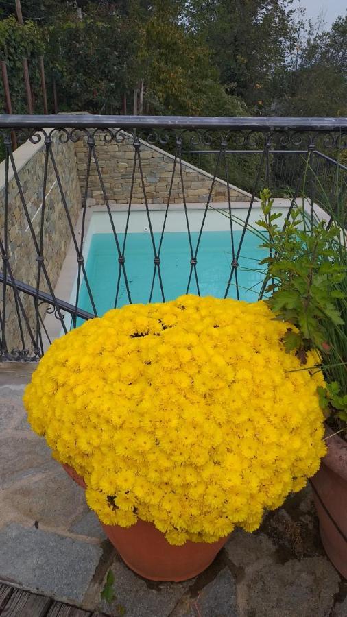 La Vigna Del Parroco Διαμέρισμα Verduno Εξωτερικό φωτογραφία